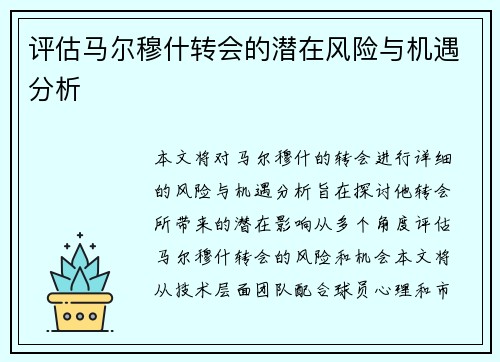 评估马尔穆什转会的潜在风险与机遇分析