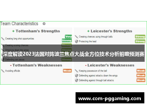 深度解读2023法国对阵波兰焦点大战全方位技术分析前瞻预测赛
