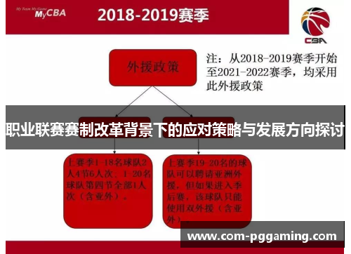 职业联赛赛制改革背景下的应对策略与发展方向探讨