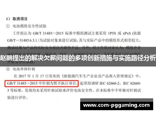 赵鹏提出的解决欠薪问题的多项创新措施与实施路径分析