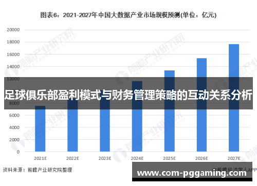 足球俱乐部盈利模式与财务管理策略的互动关系分析