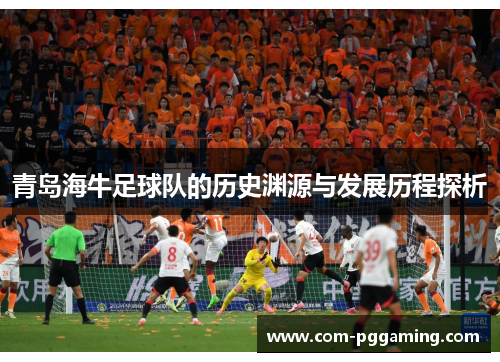 青岛海牛足球队的历史渊源与发展历程探析 青岛海牛足球队的历史渊源与发展历程探析